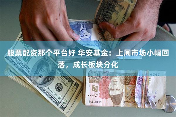 股票配资那个平台好 华安基金：上周市场小幅回落，成长板块分化