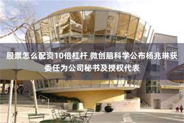 股票怎么配资10倍杠杆 微创脑科学公布杨兆琳获委任为公司秘书及授权代表