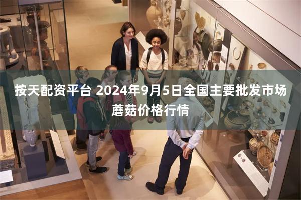 按天配资平台 2024年9月5日全国主要批发市场蘑菇价格行情