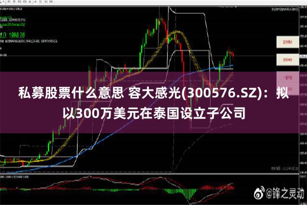 私募股票什么意思 容大感光(300576.SZ)：拟以300万美元在泰国设立子公司