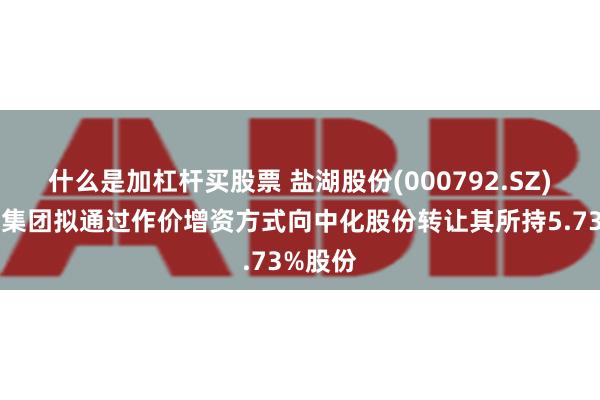 什么是加杠杆买股票 盐湖股份(000792.SZ)：中化集团拟通过作价增资方式向中化股份转让其所持5.73%股份