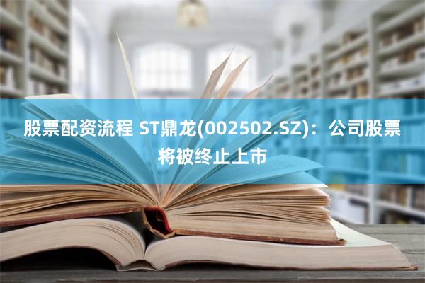 股票配资流程 ST鼎龙(002502.SZ)：公司股票将被终止上市