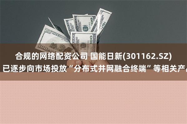 合规的网络配资公司 国能日新(301162.SZ)：已逐步向市场投放“分布式并网融合终端”等相关产品