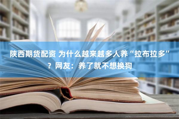 陕西期货配资 为什么越来越多人养“拉布拉多”？网友：养了就不想换狗