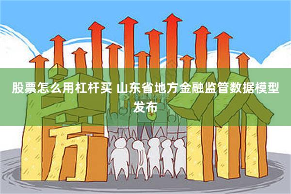 股票怎么用杠杆买 山东省地方金融监管数据模型发布