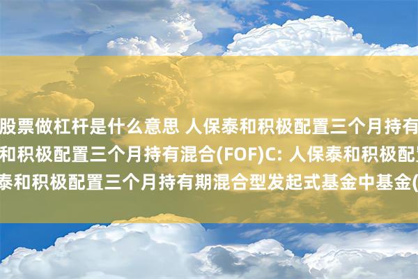 股票做杠杆是什么意思 人保泰和积极配置三个月持有混合(FOF)A,人保泰和积极配置三个月持有混合(FOF)C: 人保泰和积极配置三个月持有期混合型发起式基金中基金(FOF)基金合同