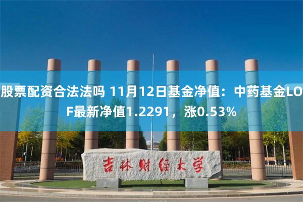 股票配资合法法吗 11月12日基金净值：中药基金LOF最新净值1.2291，涨0.53%