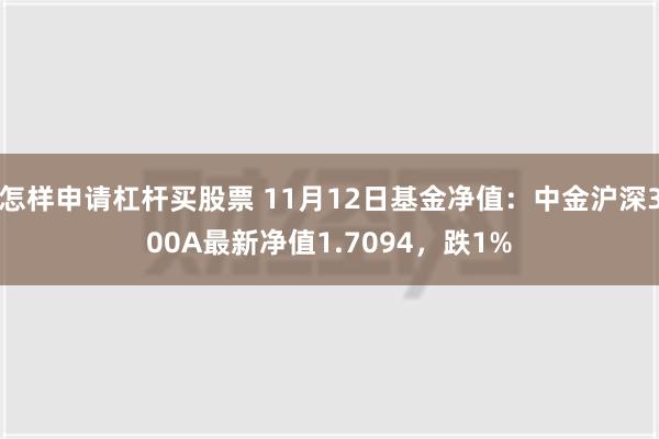 怎样申请杠杆买股票 11月12日基金净值：中金沪深300A最新净值1.7094，跌1%