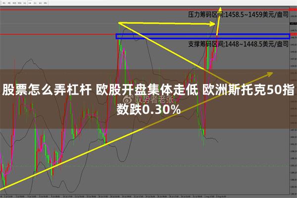 股票怎么弄杠杆 欧股开盘集体走低 欧洲斯托克50指数跌0.30%