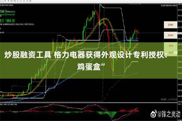 炒股融资工具 格力电器获得外观设计专利授权：“鸡蛋盒”