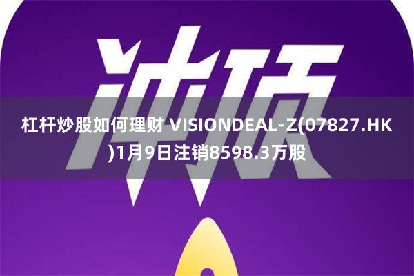 杠杆炒股如何理财 VISIONDEAL-Z(07827.HK)1月9日注销8598.3万股