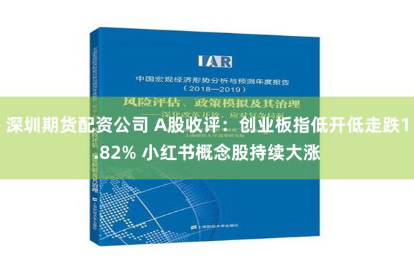 深圳期货配资公司 A股收评：创业板指低开低走跌1.82% 小红书概念股持续大涨