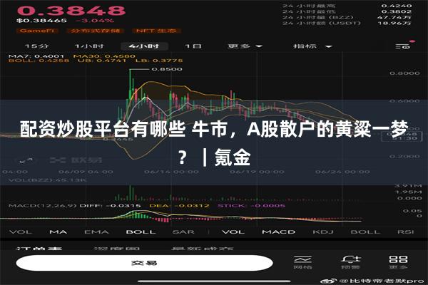 配资炒股平台有哪些 牛市，A股散户的黄粱一梦？｜氪金