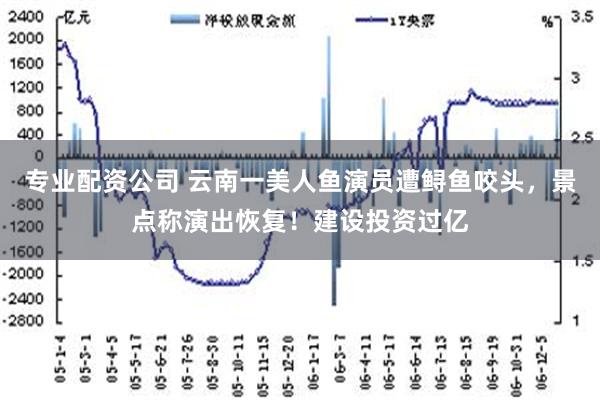 专业配资公司 云南一美人鱼演员遭鲟鱼咬头，景点称演出恢复！建设投资过亿